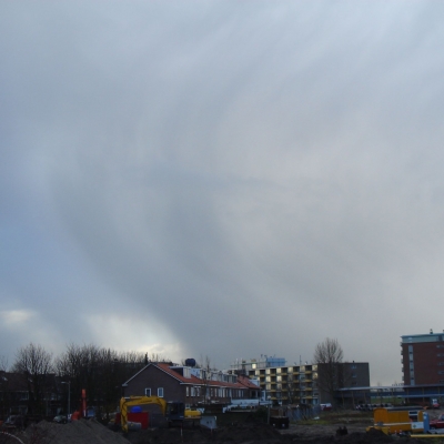 337_wat_haar_striemt.jpg