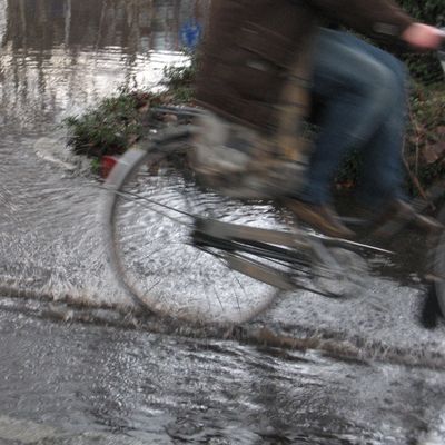 440_in_het_water_4_12.jpg