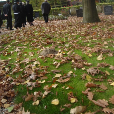 779_herfst.jpg
