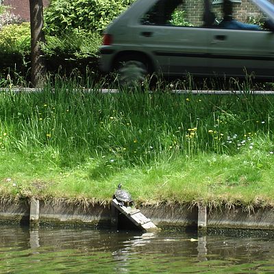 1025_de_vrijheid.jpg