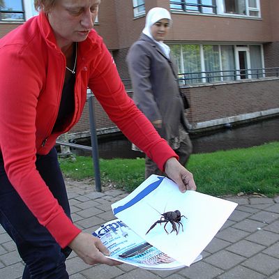 1109_rode_amerikaanse.jpg