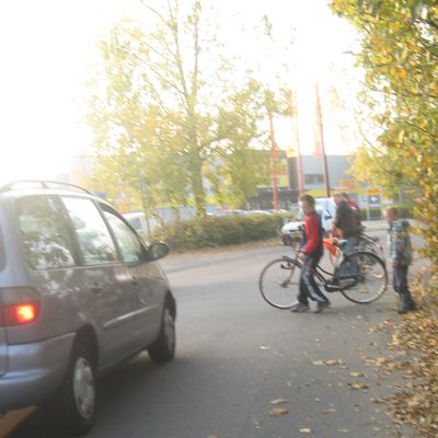 1155_verschrikt_2_11.jpg