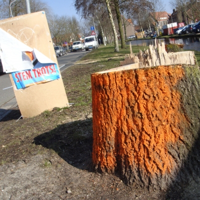 1282_hoe_trots.jpg