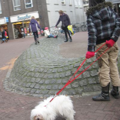 1287_wat_wil_je_15_03.jpg