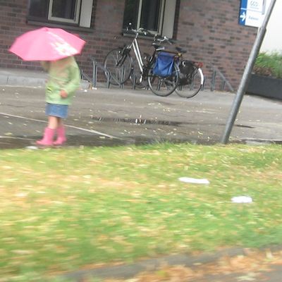 1442_druppels_17_08_10.jpg