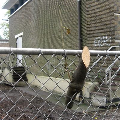 1489_in_de_knop_01_10_10.jpg