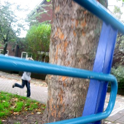 1498_terugkeer_12_10_10.jpg