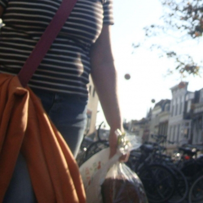 1769_de_bollen.jpg