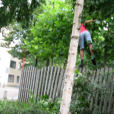 1795_staan_blijven_09_08_11.jpg