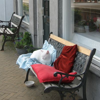 2103_rode_poes_02_06_2012.jpg
