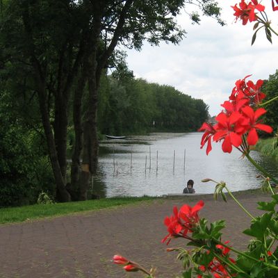 2115_al_voortlopend_21_06_2012.jpg
