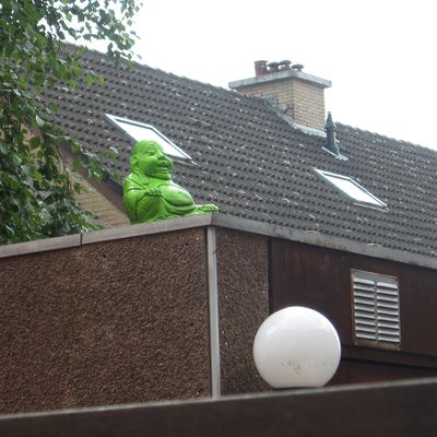 2173_een_grote_meester_22_08_2012.jpg