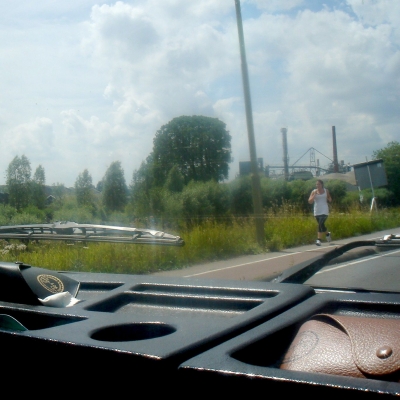 2196_vogels.jpg