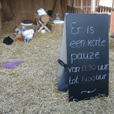 2287_vondeling_12_12_2012.jpg