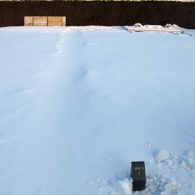 2330_dit_23_01_2013.jpg