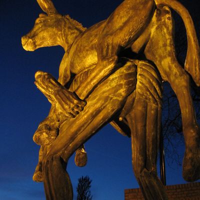 233_zelfbeeld_65.jpg