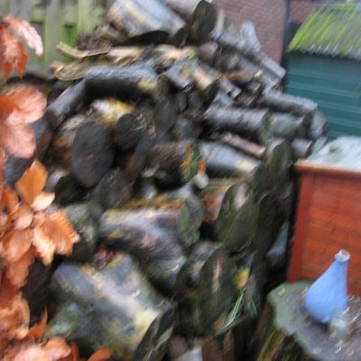 2365_de_getallen_289_02_2013.jpg