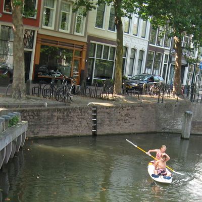 2558_je_zuster_06_09_2013.jpg