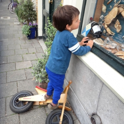 2582_gebiologeerd.jpg