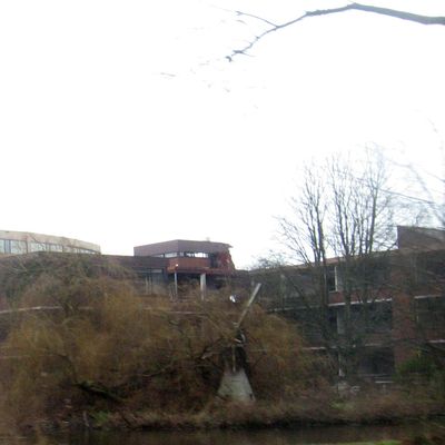 3059_ons_langs_schoot_half_gouda_11_01_2015.jpg