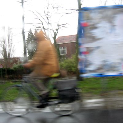 3063_veiligheidshalve_half_gouda_15_01_2015.jpg