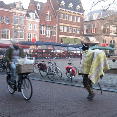 3097_van_reintje_de_vos_half_gouda_17_02_2015.jpg