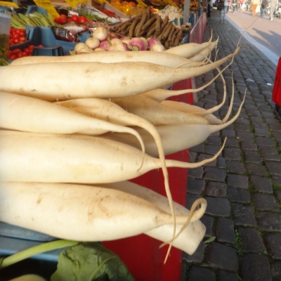 3142_aan_het_einde_half_gouda.jpg
