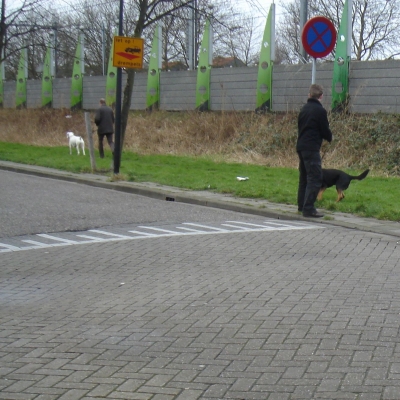 3148_aan_de_lijn_half_gouda.jpg