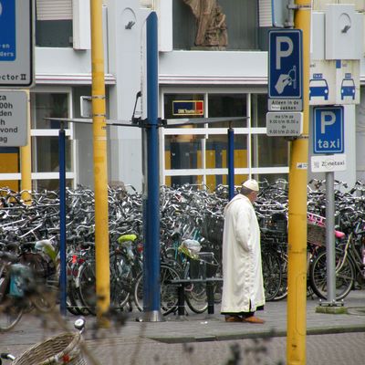 3151_van_een_witten_half_gouda_12_04_2015.jpg