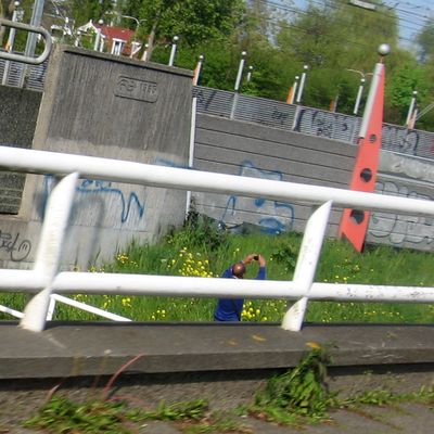 3189_over_het_hek_2_half_gouda_13_05_2015.jpg