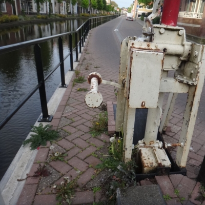 3221_waterstad_half_gouda.jpg