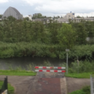 3239_de_algemene_standaard_half_gouda.jpg