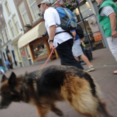 3250_niet_hetzelfde_half_gouda.jpg