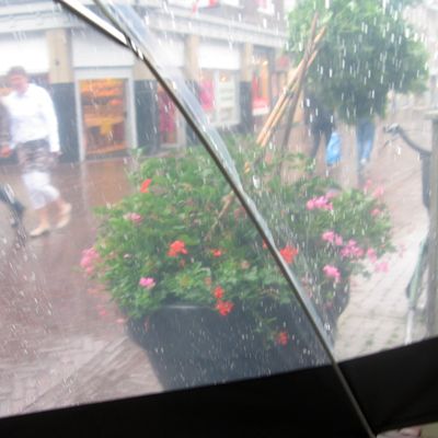 3264onderwaterleven_half_gouda_26_07_2015.jpg