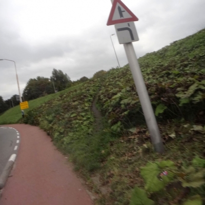 3344_het_smalle_pad.jpg