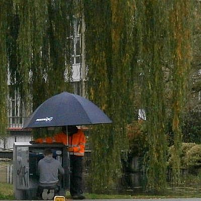 3359_groene_regen.jpg