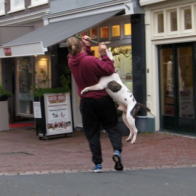 3366_adrenaline_half_gouda_12_11_2015.jpg