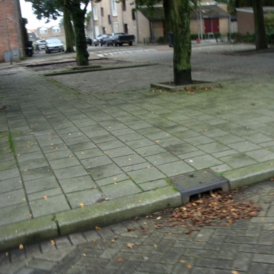 3380_met_zijn_allen.jpg