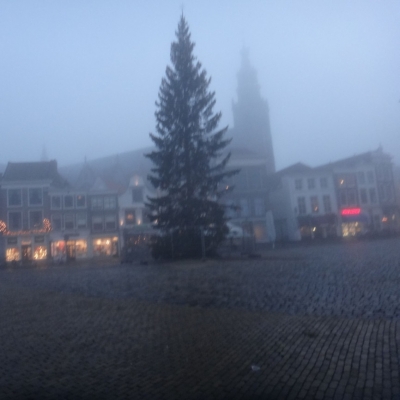 3391_met_mirre.jpg