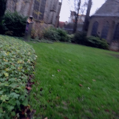 3397_feestbeesten.jpg