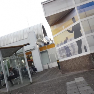 4018_in_het_veld.jpg