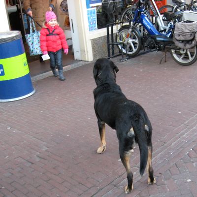 4063_aangelijnd_half_gouda_18_02_2016.jpg