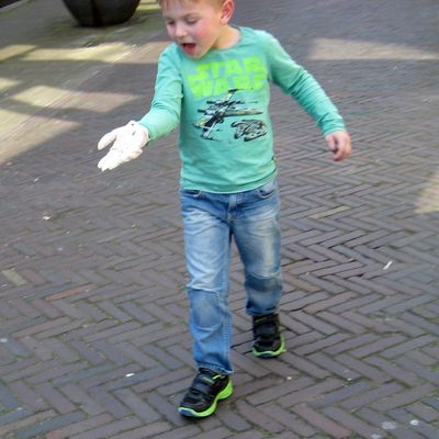 4108_insecten_half_gouda_03_04_2016.jpg