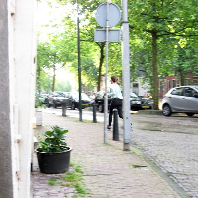4184_ervandoor_half_gouda_17_06_2016.jpg