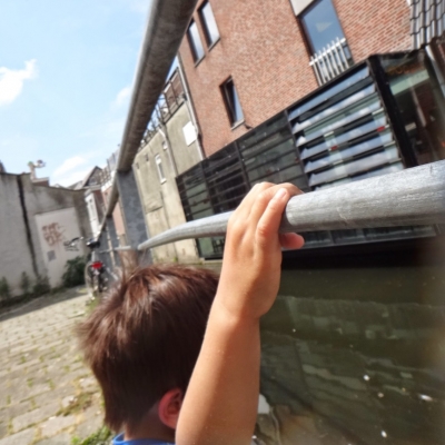 4223_in_elke_vorm_half_gouda.jpg