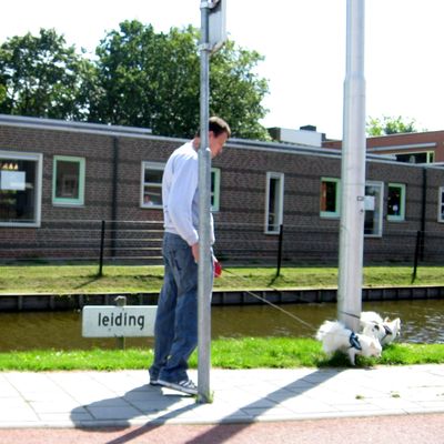 4224_de_leiding_28_07_2016.jpg