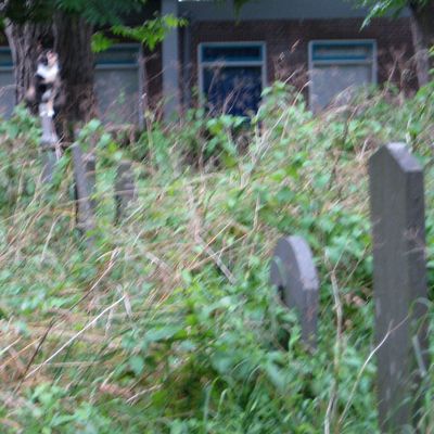 4228_soeverein_half_gouda_03_08_2016.jpg