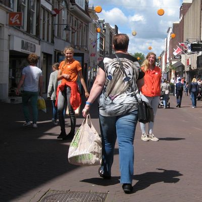 4244_hinderlaag_half_gouda_17082016.jpg