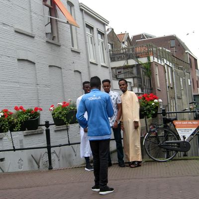 4247_bedeesd_half_gouda_20082016.jpg