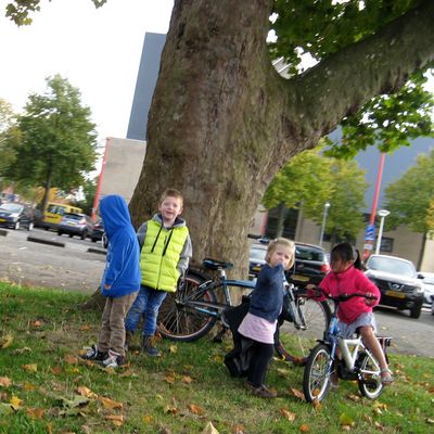 4309_om_te_bloeien_half_gouda_21_10_2016.jpg